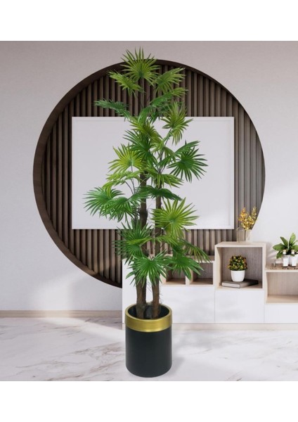 Tekno Trust Yapay Ağaç Yelpaze Palmiye 4katlı Fanpalm 32 Yaprak Altın Kemerli Siyah Saksıda 170*65cm