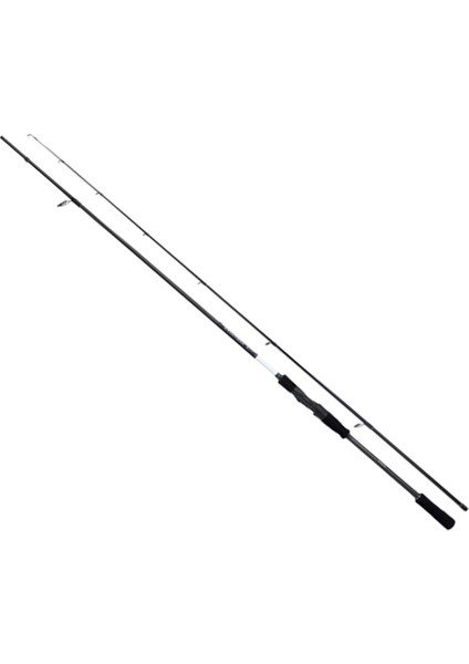 Bassterra Xt+ 289 cm 15-65 gr Spin Kamış