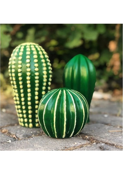 Tekno Trust Dekoratif 3 Lü Kaktüs Biblo