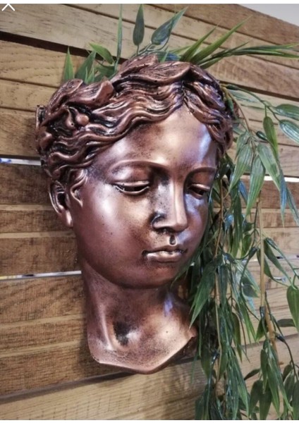 Tekno Trust Ev Dekor Dekoratif Bronz Eskitme Helen Duvar Saksısı Heykel Biblo Biblo Büst Aksesuar