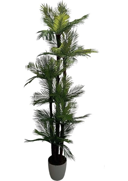 Yapay Palmiye Ağacı 200 cm 6 Gövde, Yeşil Saksıda, Dekoratif ve Canlı Görünüm