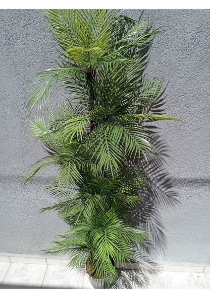 Yapay Palmiye Ağacı 200 cm 6 Gövde, Yeşil Saksıda, Dekoratif ve Canlı Görünüm