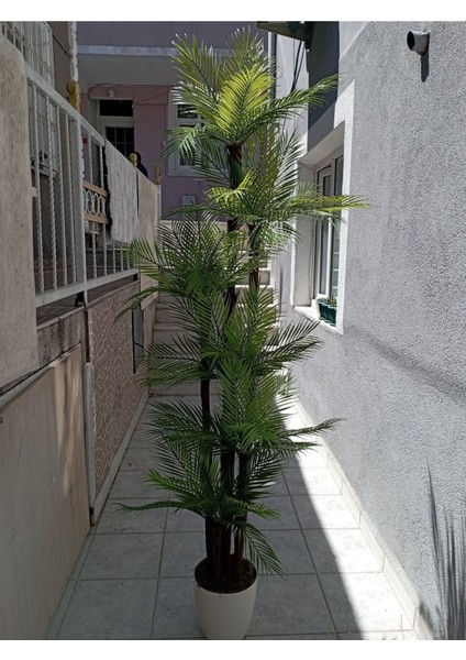 Yapay Palmiye Ağacı 200 cm 6 Gövde, Yeşil Saksıda, Dekoratif ve Canlı Görünüm
