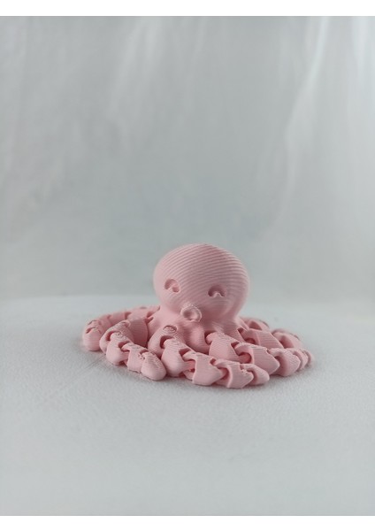 3D Baskı Haraketli Ahtabot Figürü