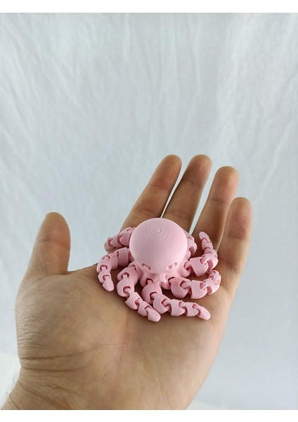 3D Baskı Haraketli Ahtabot Figürü