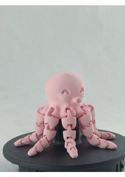 3D Baskı Haraketli Ahtabot Figürü