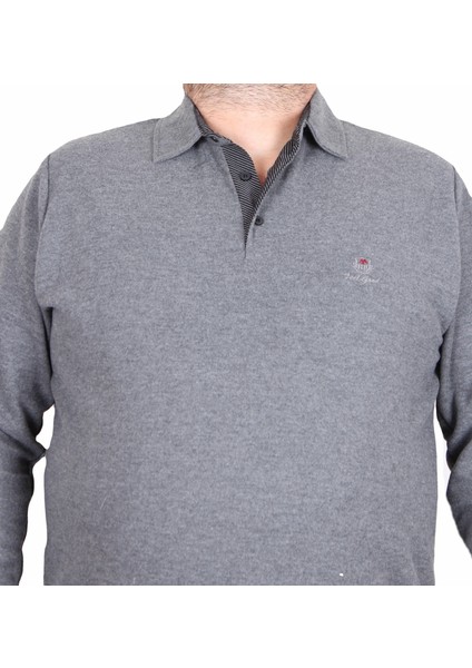 Erkek Büyük Beden Polo Yaka Sweat Feel Good 24408 Antrasit Melanj fiyatları