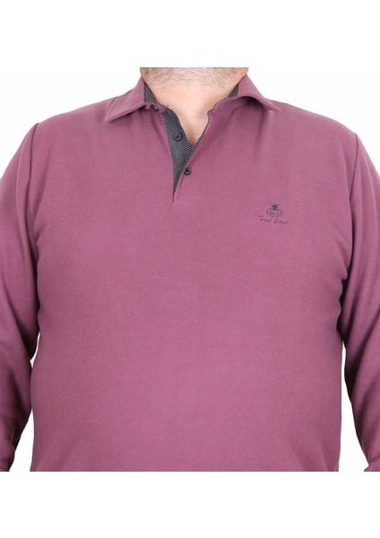 Erkek Büyük Beden Polo Yaka Sweat Feel Good 24408 Eflatun fiyatları