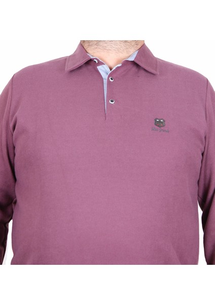 Mocgrande Erkek Büyük Beden Polo Yaka Sweat Moc Grande 24410 Eflatun fiyatları