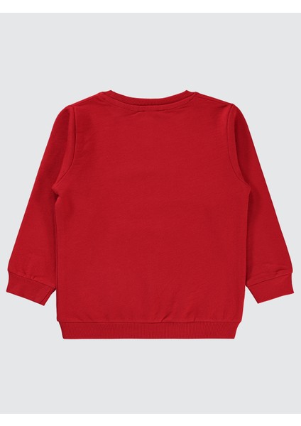 Erkek Çocuk Sweatshirt 2-5 Yaş Kırmızı fiyatları