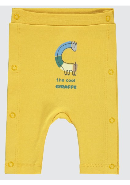 Erkek Bebek Patiksiz Tek Alt Prematüre Sarı