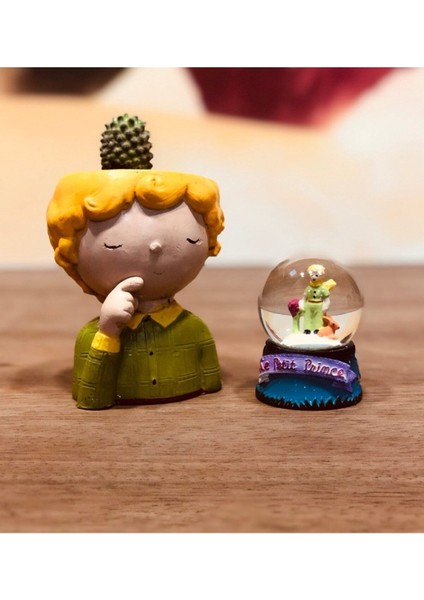 Küçük Prens Renk Değiştiren Işıklı Kar Küresi ve Skulent Saksı Arkadaşa Hediye Seti