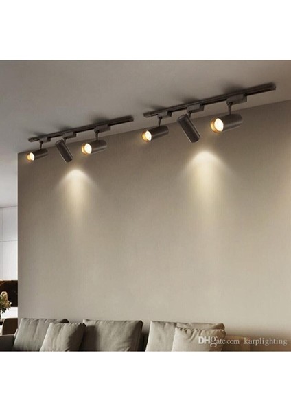 Siyah Kasa ve Günışığı 6 Adet 360 Derece Dönen LED Ray Spot Lamba 2 Adet 1 mt Raylı Armatür