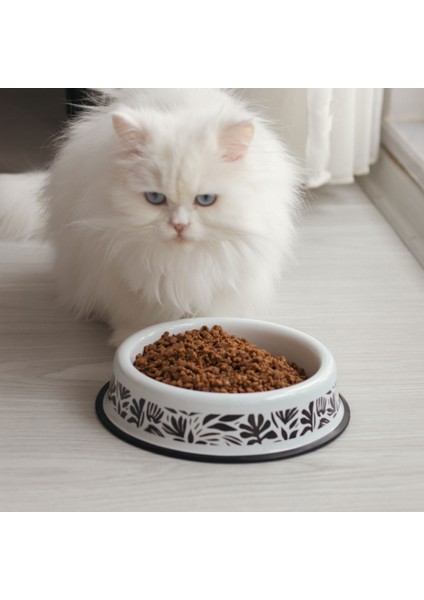 Emaye Kedi Köpek Mama Kabı Abstract Desen