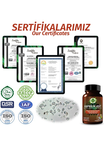 Kaprilik Asit Kapsül (CAPRYLİC ACİD CAPSULE)