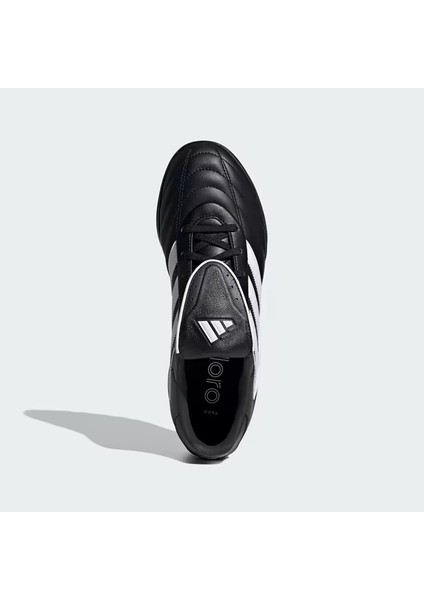 Copa Gloro Iı Tf modelleri