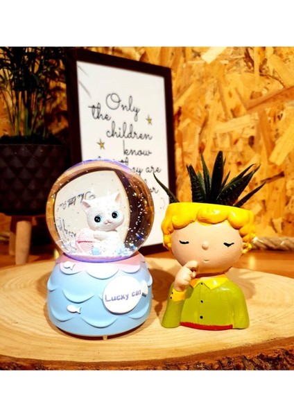 Sevimli Kedi Işıklı Müzikli Kar Küresi ve Küçük Prens Saksı Arkadaşa Hediye