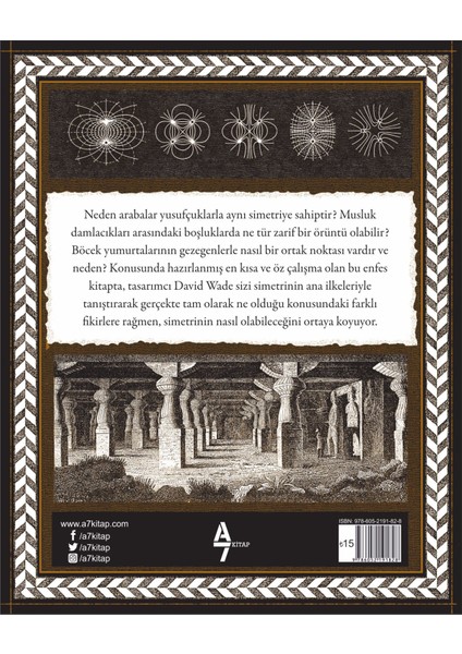Simetri - Düzen İlkesi
