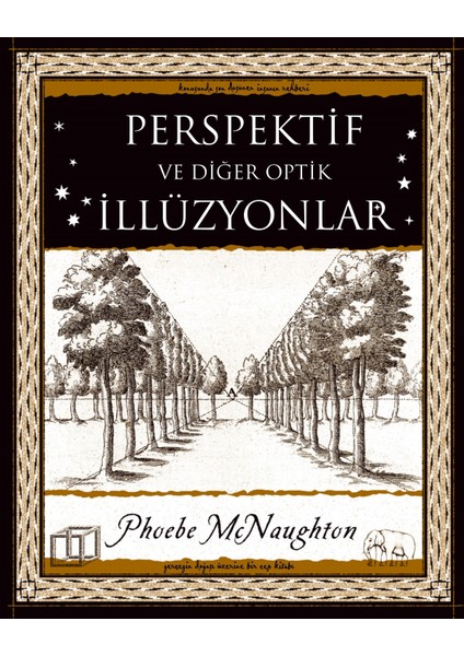 Perspektif Ve Diğer Optik Illüzyonlar