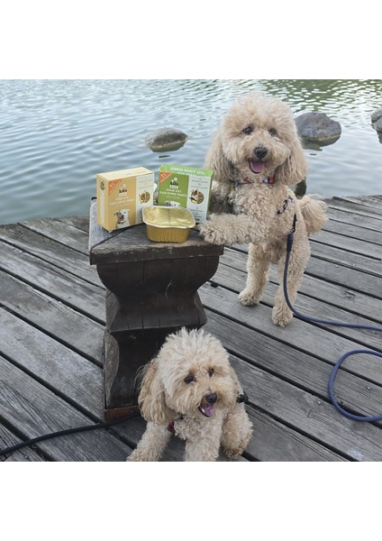 Yetişkin Köpek Maması 7 kg + Tavuk Etli Kito Fresh x 6