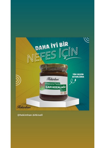 Servi (Çam) Kozalağı Macunu 240 gr