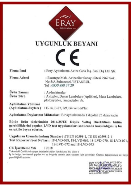 Modern elips metal LED avize, şık şehir tarzı aydınlatma, 2 ampüllü 60x100 boyut.