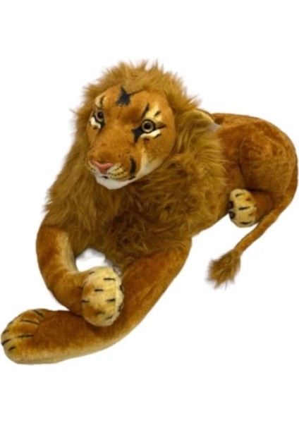 Aslan Buyuk Boy Pelus