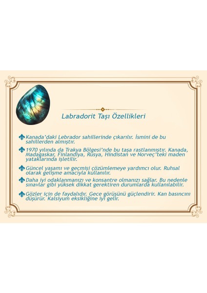 Makrome Örgülü Naturel Kesim Labradorit Doğaltaş Erkek Bileklik