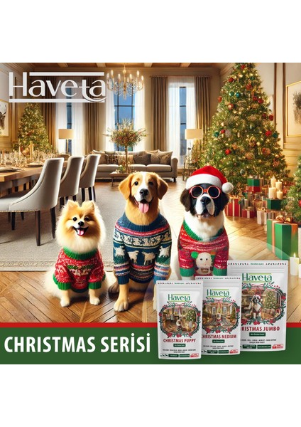 Christmas Puppy modelleri