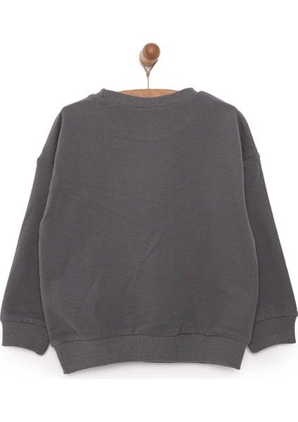 Dc Comıcs Batman Erkek Sweatshirt Erkek Bebek fiyatları