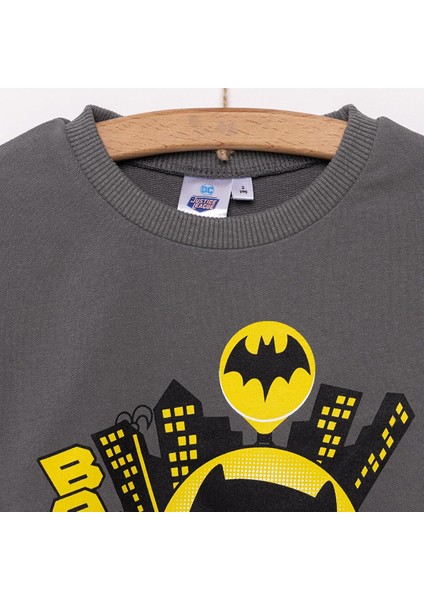 Dc Comıcs Batman Erkek Sweatshirt Erkek Bebek modelleri