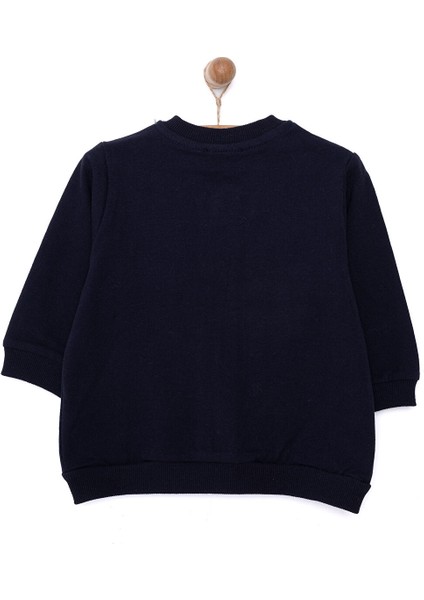 Erkek Hırka Erkek Bebek fiyatları