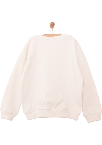 Erkek Sweatshirt Erkek Bebek fiyatları