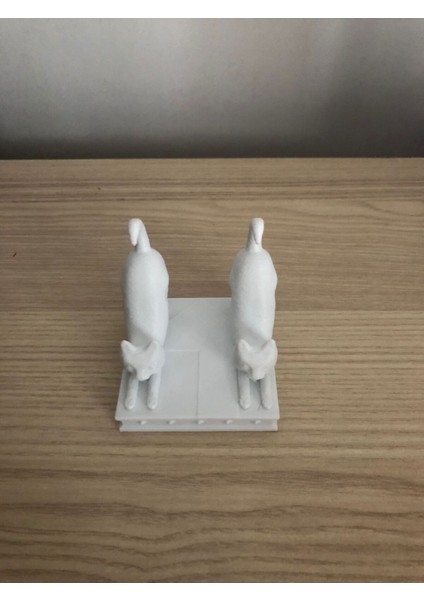 Kedi Telefon Tutacağı