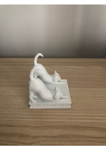Kedi Telefon Tutacağı