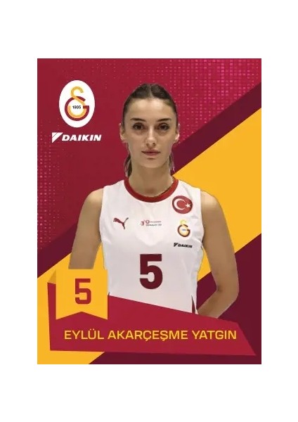 Galatasaray Kadın Voleybol Tam Set Sezon Kartları - Kutu fırsatları