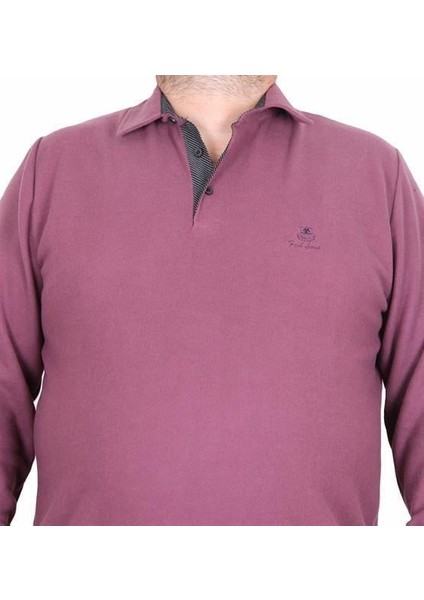 Erkek Büyük Beden Polo Yaka Sweat Feel Good 24408 Eflatun fiyatları