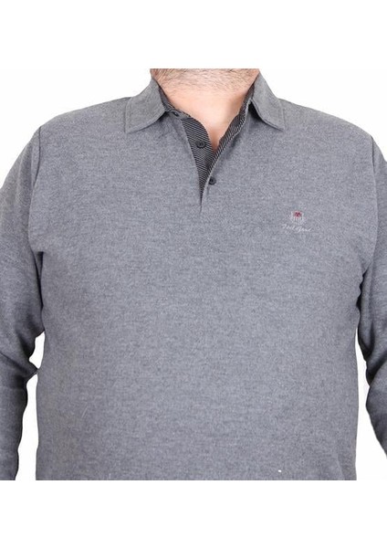Erkek Büyük Beden Polo Yaka Sweat Feel Good 24408 Antrasit Melanj fiyatları