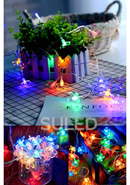 Rgb 5 Metre Gül LED 20 LED 220V Fişli Tak Çalıştır Dekoratif Iç ve Dış Mekan Süsleme Işığı