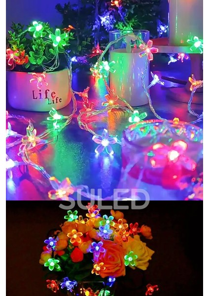 Rgb 5 Metre Gül LED 20 LED 220V Fişli Tak Çalıştır Dekoratif Iç ve Dış Mekan Süsleme Işığı