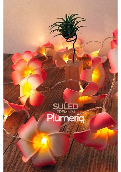 Plumeria Çiçeği Dekoratif LED Işık Ambiyans Ortam Aydınlatması ve Süsleme Ledleri fiyatları