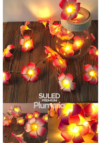 Plumeria Çiçeği Dekoratif LED Işık Ambiyans Ortam Aydınlatması ve Süsleme Ledleri modelleri