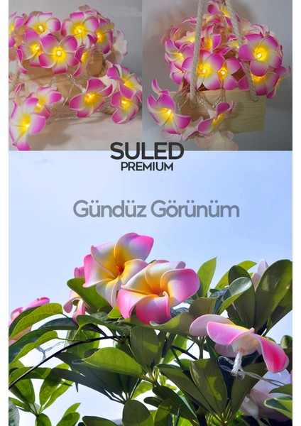 Plumeria Çiçeği Dekoratif LED Işık Ambiyans Ortam Aydınlatması ve Süsleme Ledleri fırsatları