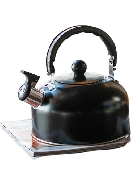 Çaydanlık Su Isıtıcısı Çay Kahve Çaydanlık Su Isıtıcısı (Yurt Dışından)