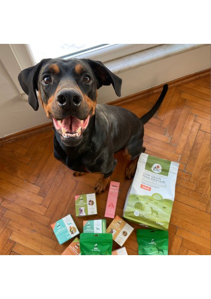 Yetişkin Köpek Maması 2,5 kg + Kito Fresh Tanışma Paketi