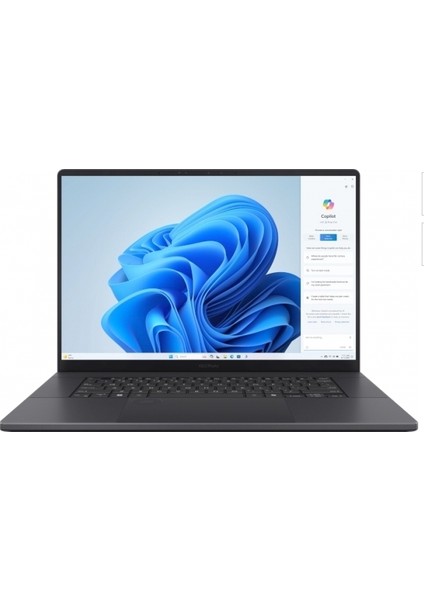 Proart P16 H7606WI-ME014W Ryzen Aı 9 Hx 370 64 GB 2 Tb RTX4070 16" Notebook