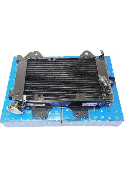 Pulsar NS200 Radyatör JL601234