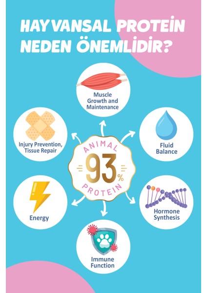 Kitten Yavru Tavuklu Süper Premium Kedi Maması 9 kg - Hipoalerjenik - Düşük Tahıllı modelleri