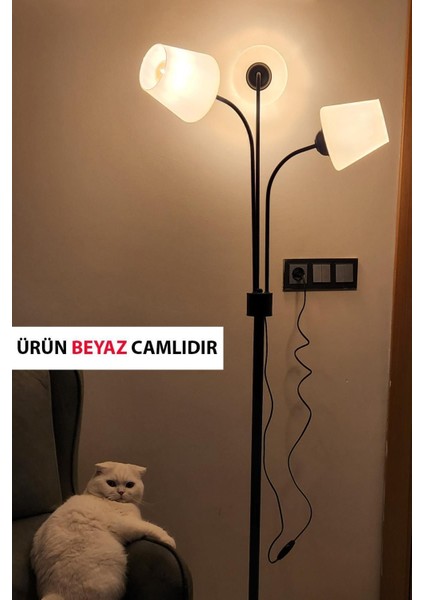 Zambak 3 Lü Siyah Tasarım Metal Ayaklı Lambader Ermando Cam Oturma Odası-Salon Lambader