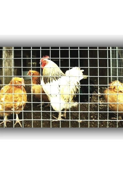 4'lü Paket 3 x 3 - 2.50 mm 100 x 200 cm Galv. Hasır Tel